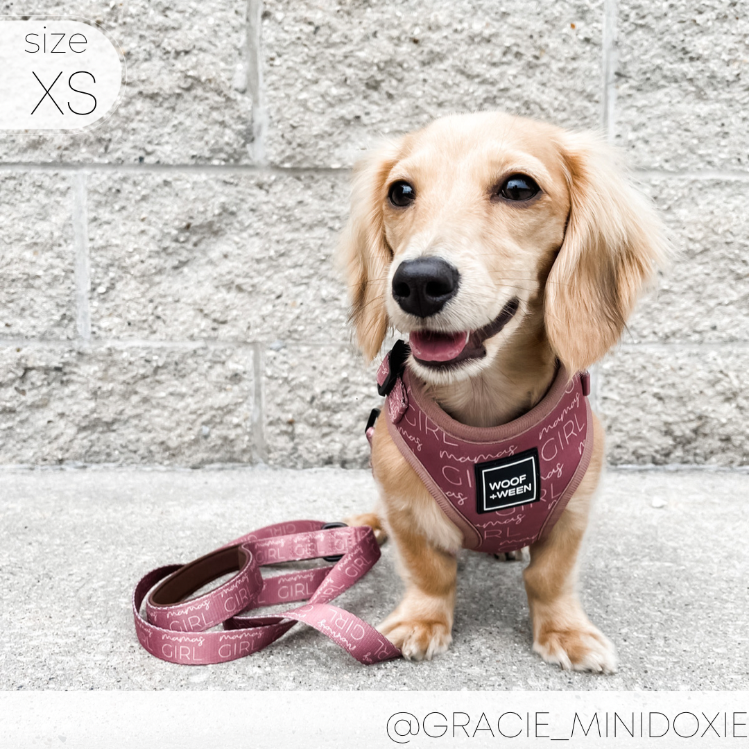 Dog Harness product image 10