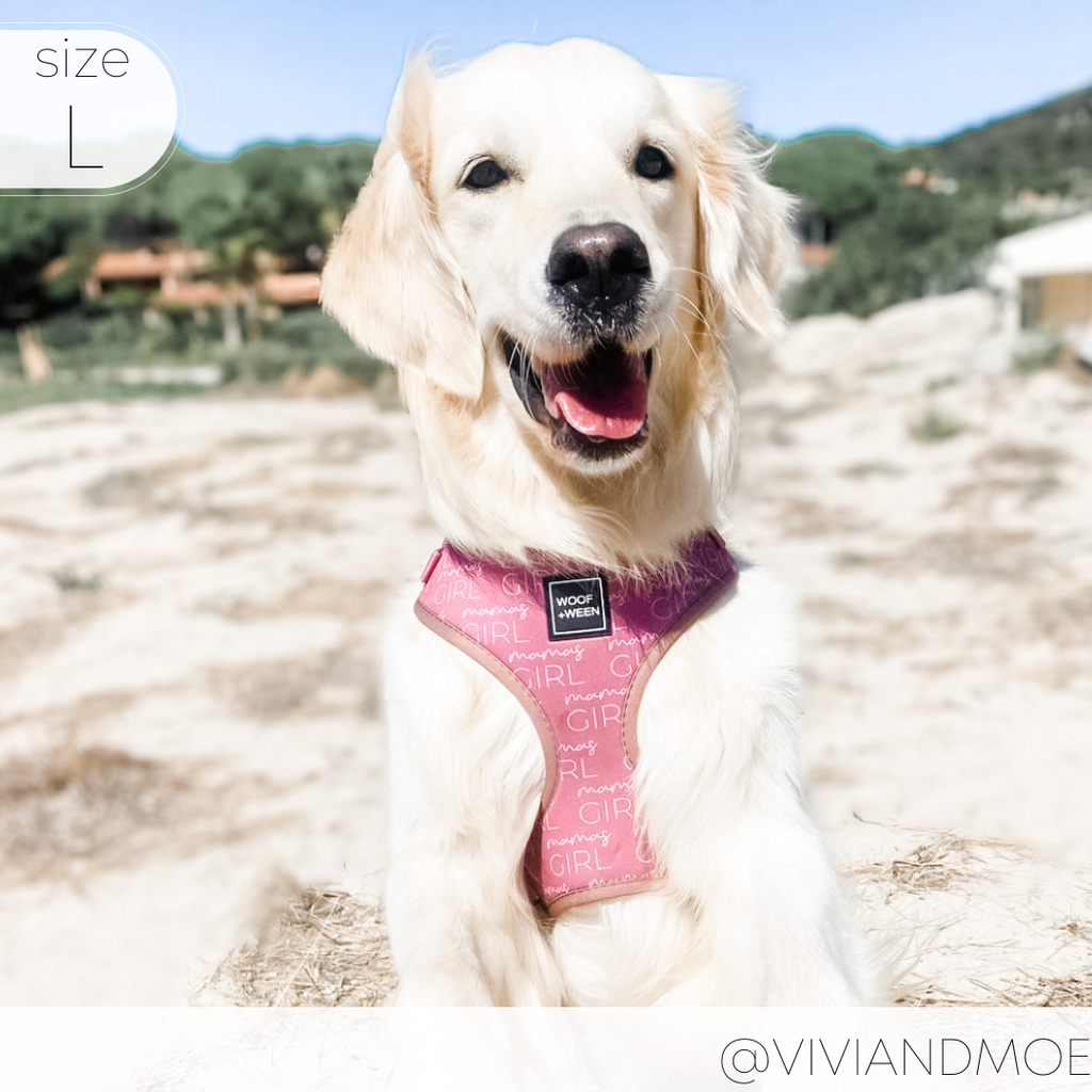 Dog Harness product image 11