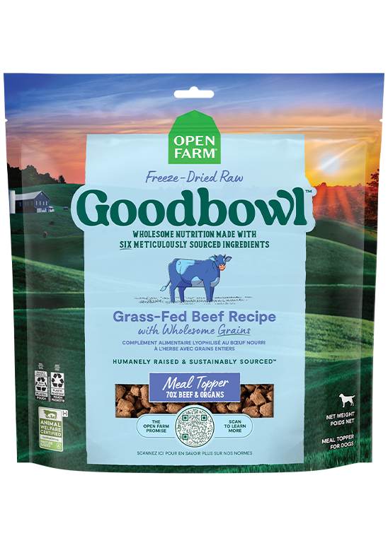 Freeze-Dried Raw Dog Food product image 1