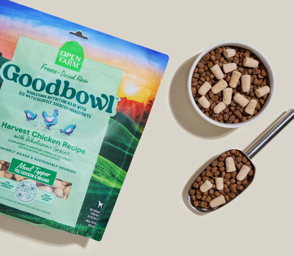 Freeze-Dried Chicken Dog Food Topper product image 3