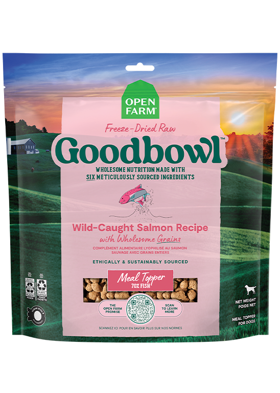 Freeze-Dried Salmon Dog Food product image 1