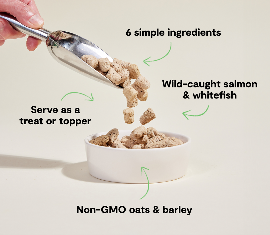 Freeze-Dried Salmon Dog Food product image 4