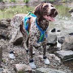 Dog Snow Booties product image 2