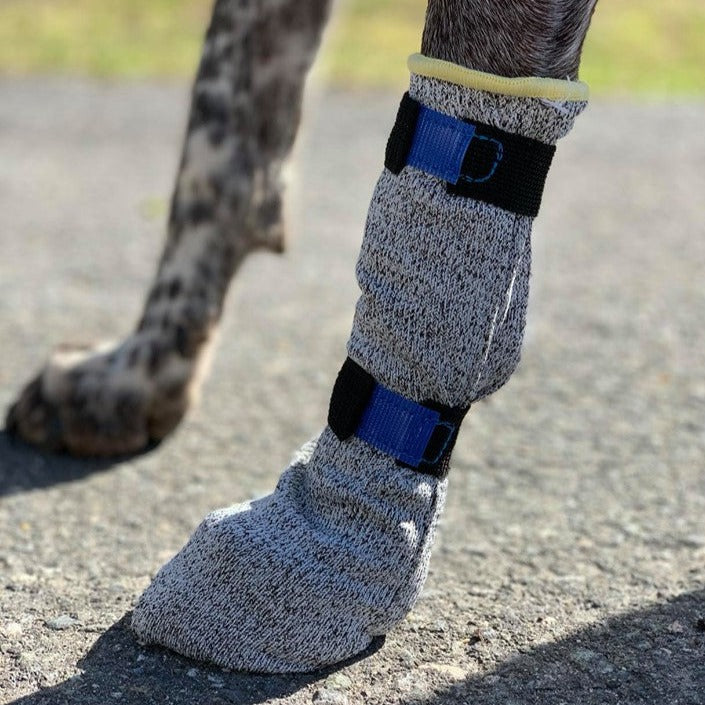 Dog Boot Set product image 2