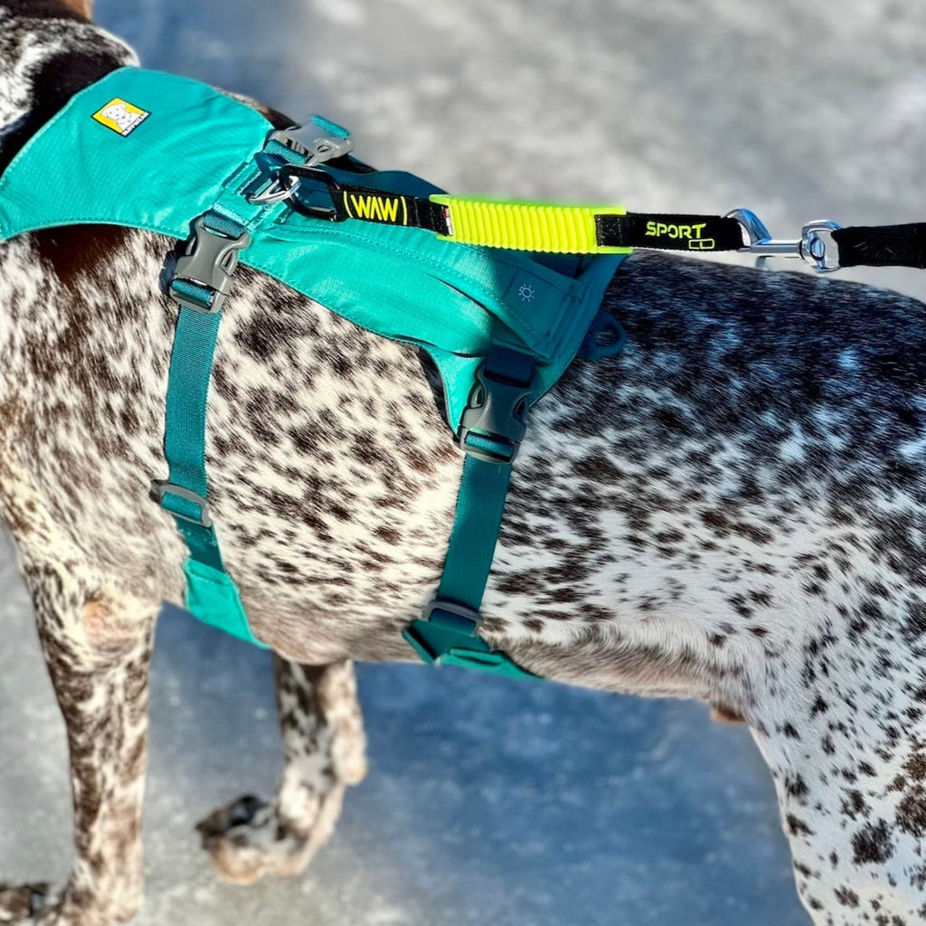 Dog Leash Bungee product image 2