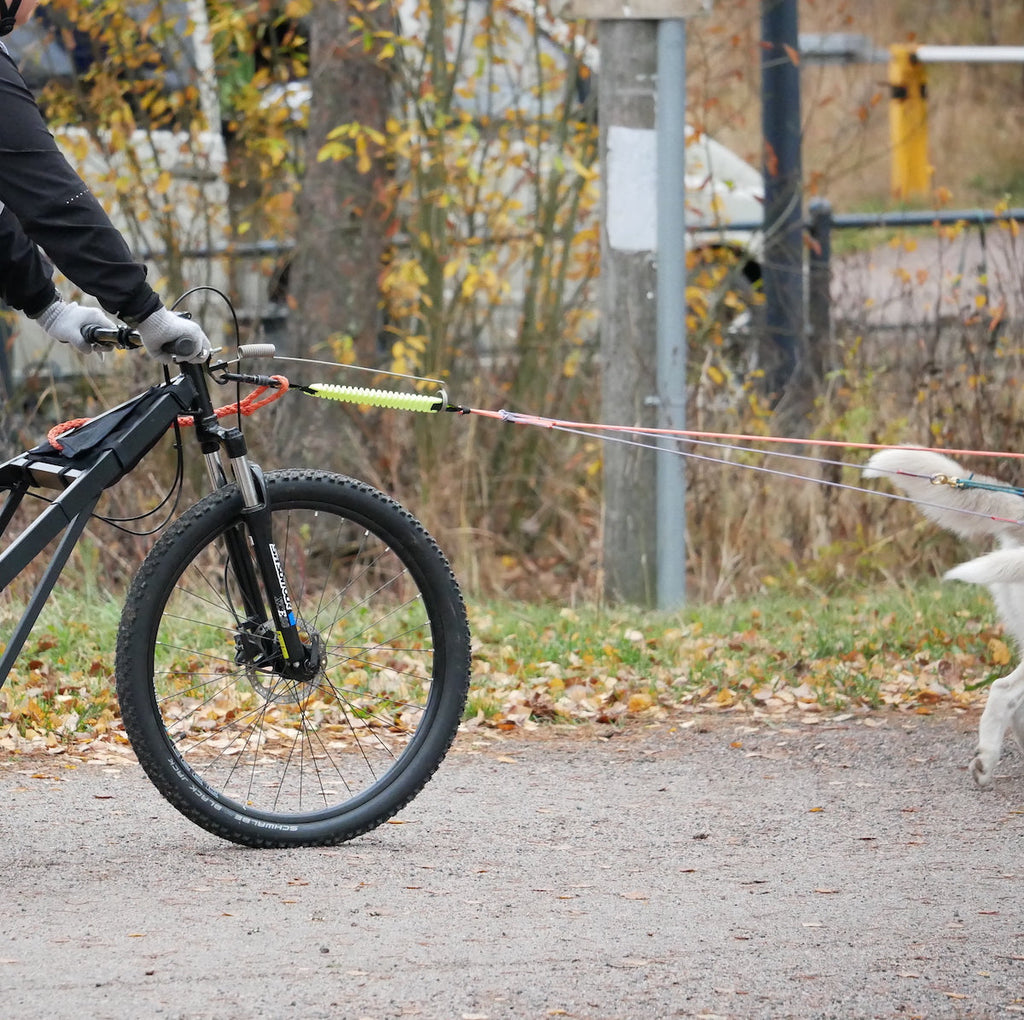 Dog Leash Bungee product image 3