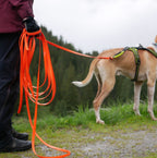 Dog Leash Bungee product image 13