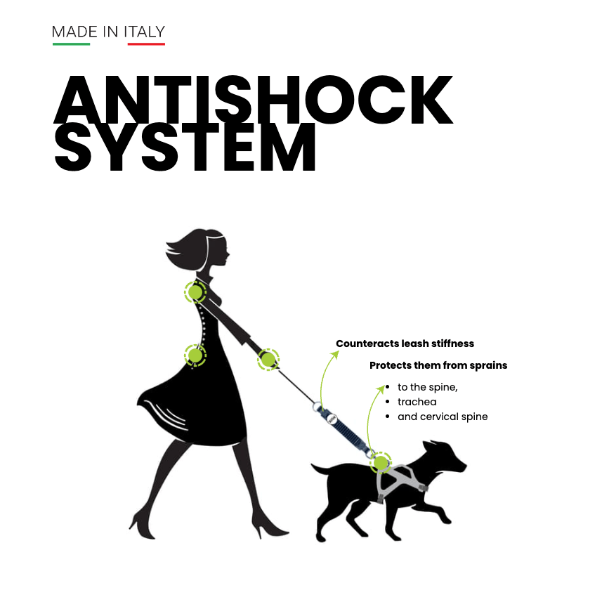 Dog Leash Shock Absorber product image 3