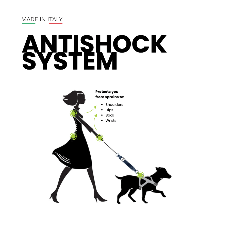 Dog Leash Shock Absorber product image 4