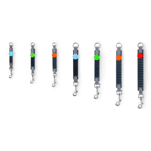 Dog Leash Shock Absorber product image 5