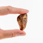 Freeze-Dried Dog Treat product image 5