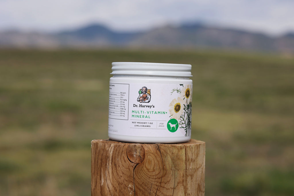 Dog Multivitamin Powder product image 3
