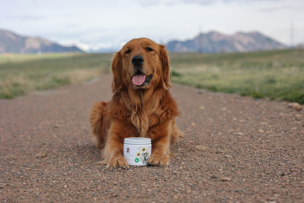 Dog Multivitamin Powder product image 4