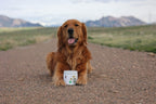 Dog Multivitamin Powder product image 4