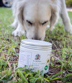 Dog Multivitamin Powder product image 5