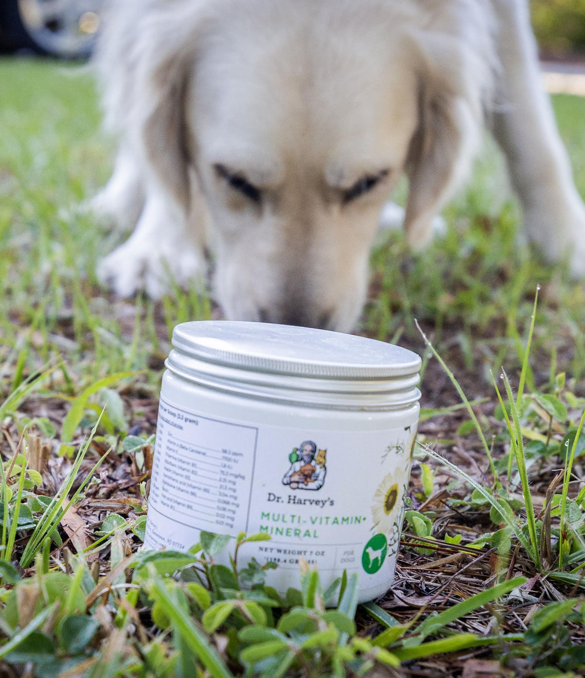 Dog Multivitamin Powder product image 5
