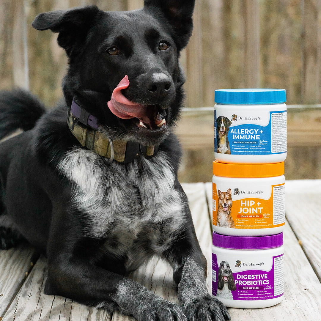 Dog Joint Supplements product image 5