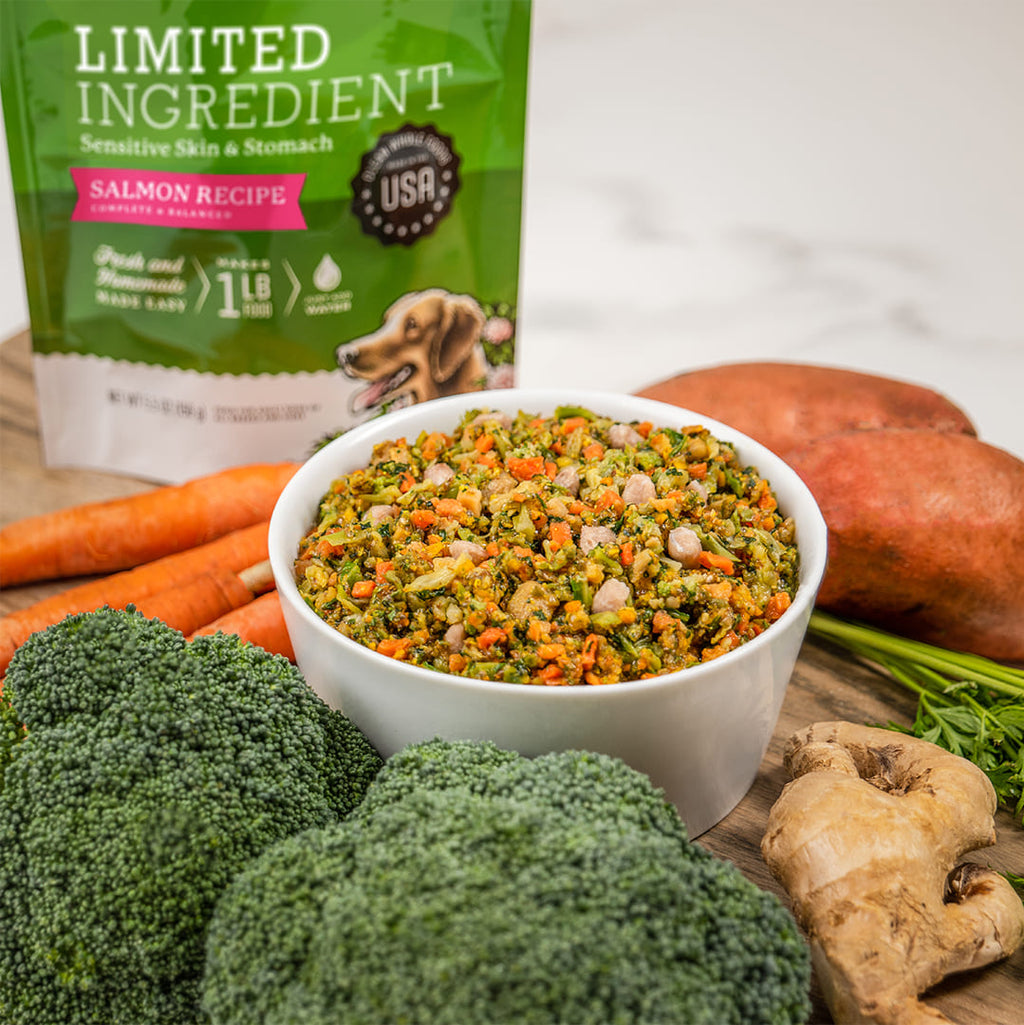 Limited Ingredient Salmon Recipe dog food bag with bowl of prepared meal, broccoli, carrots, sweet potato, and ginger