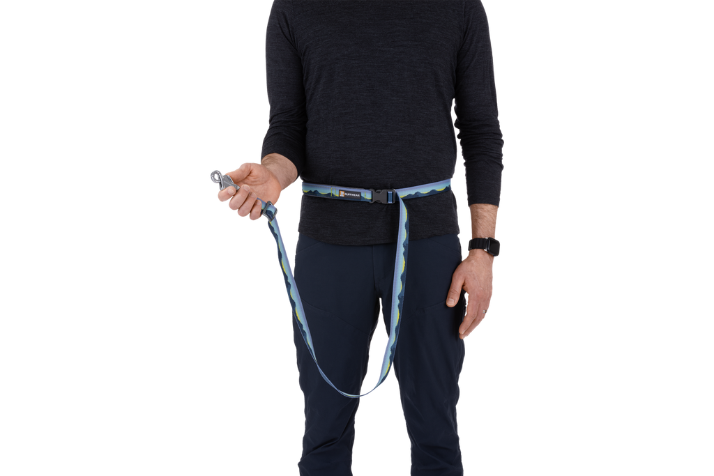 Adjustable Dog Leash product image 9