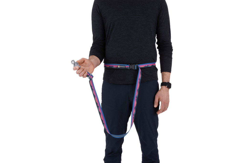 Adjustable Dog Leash product image 16