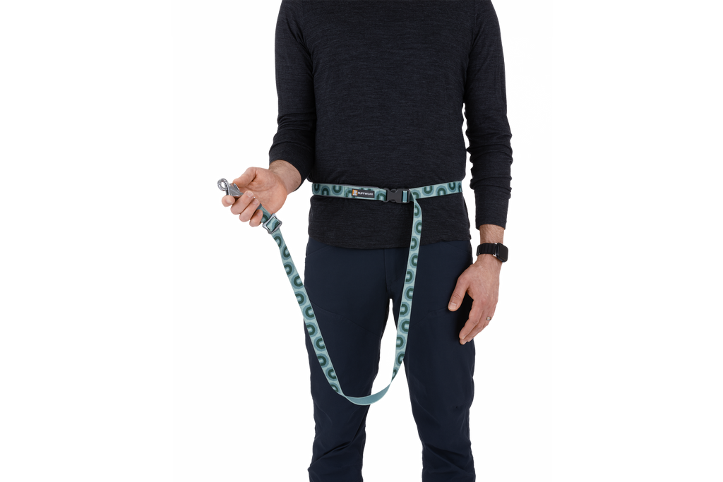 Adjustable Dog Leash product image 29
