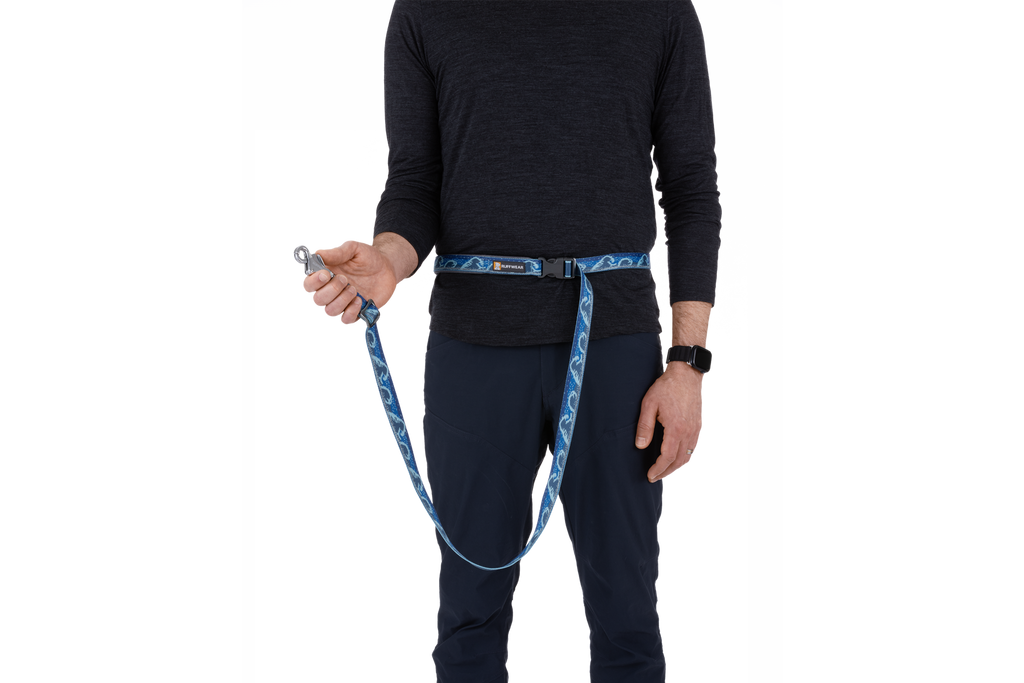 Adjustable Dog Leash product image 36