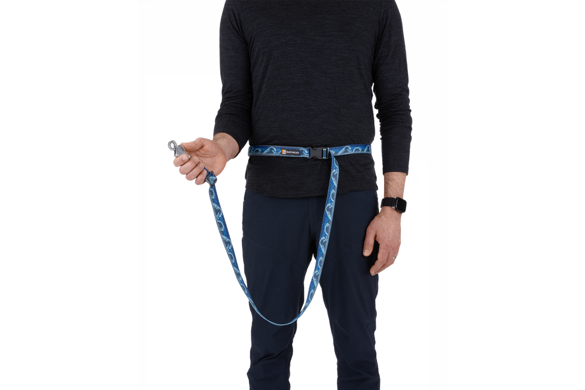 Adjustable Dog Leash product image 36