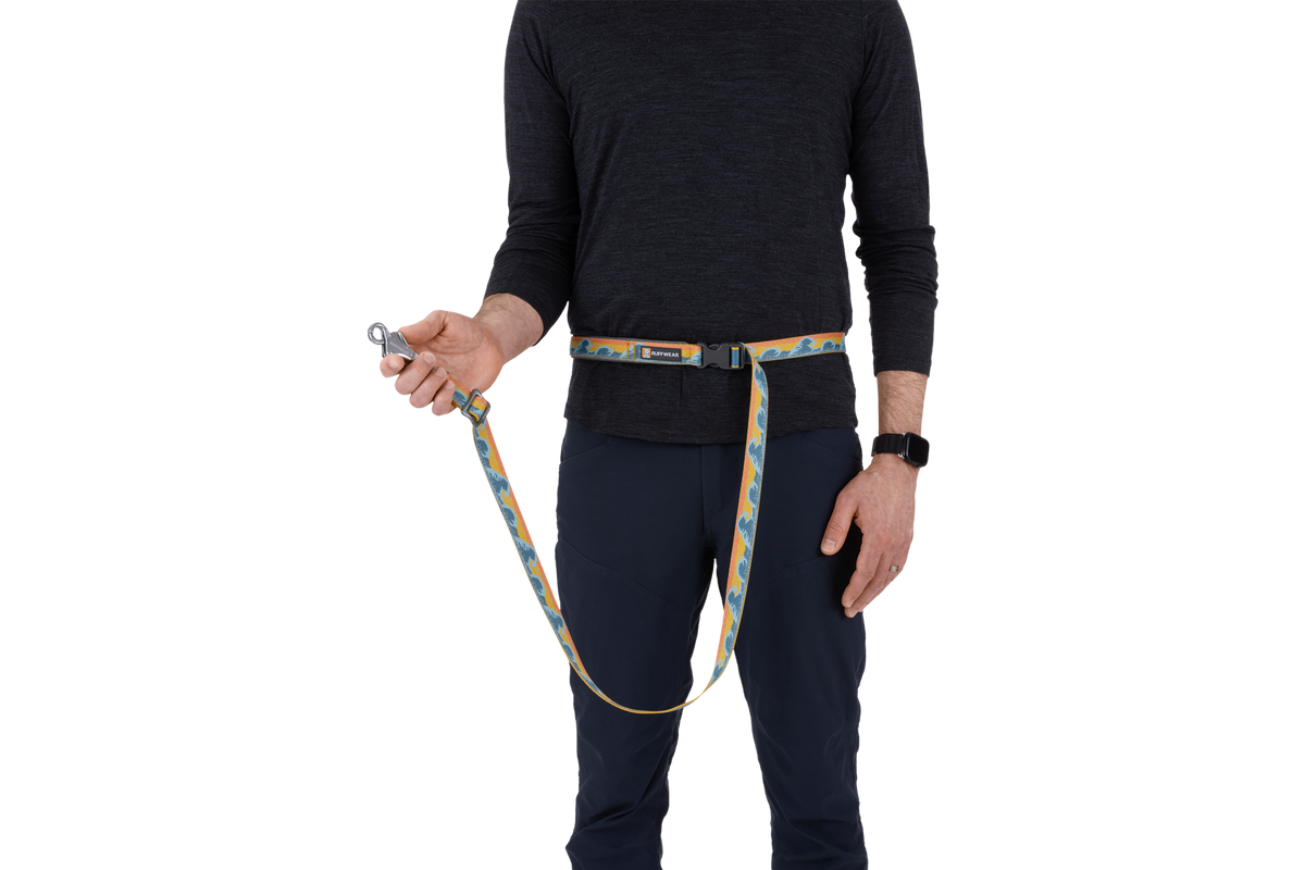 Adjustable Dog Leash product image 42