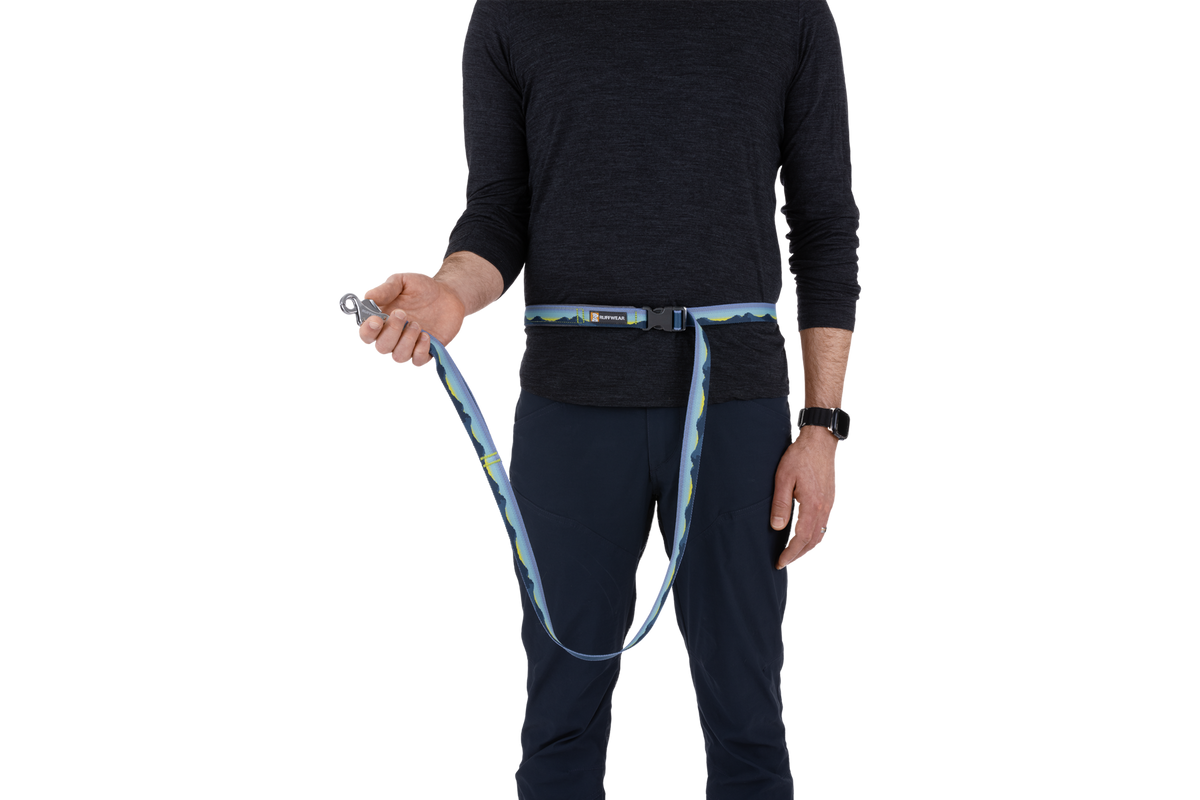 Hands-Free Dog Leash product image 8