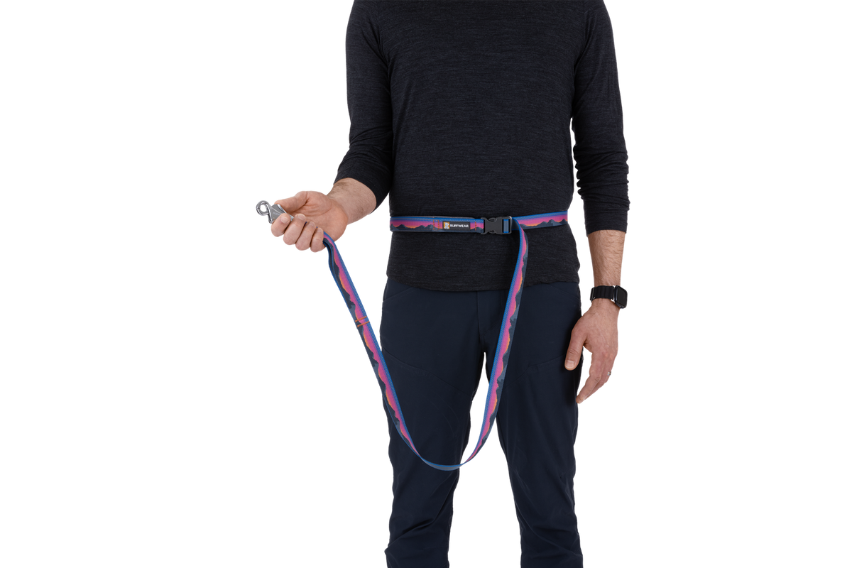 Hands-Free Dog Leash product image 15