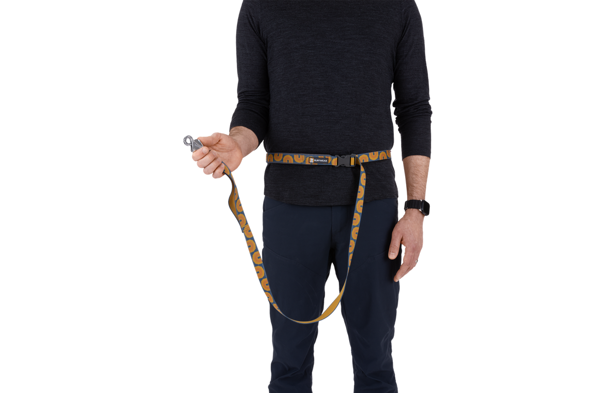 Hands-Free Dog Leash product image 22