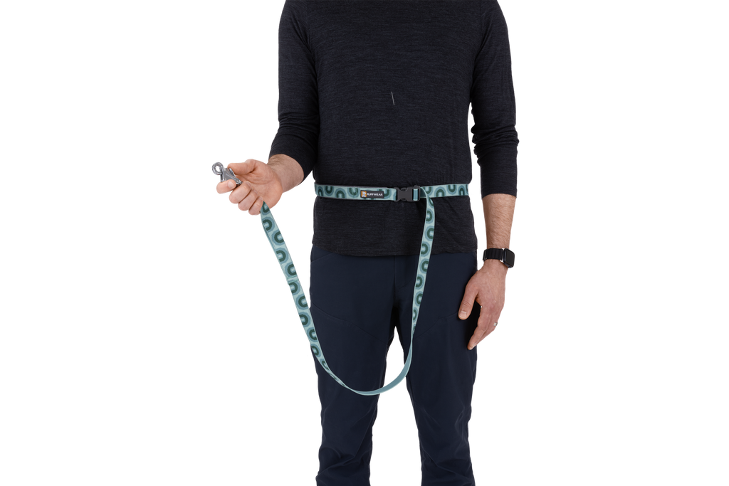 Hands-Free Dog Leash product image 29