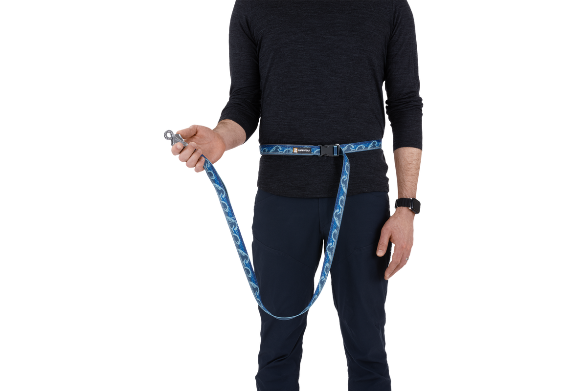 Hands-Free Dog Leash product image 36