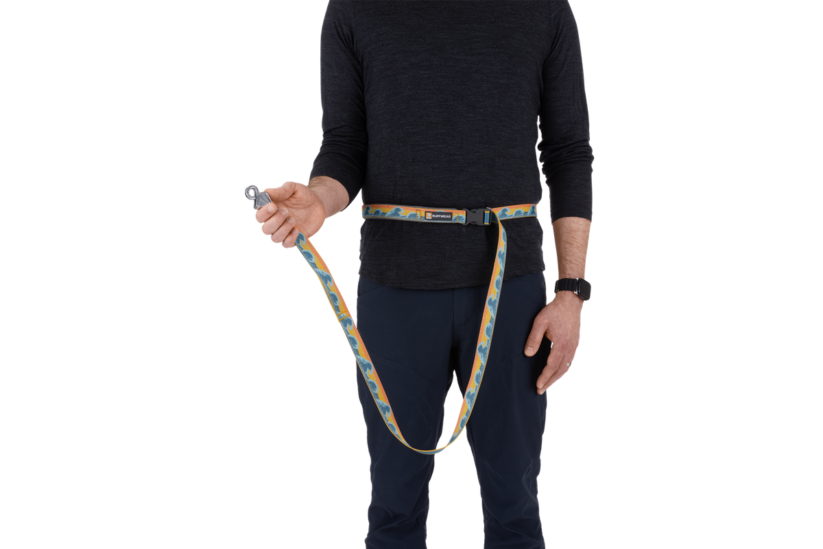 Hands-Free Dog Leash product image 43