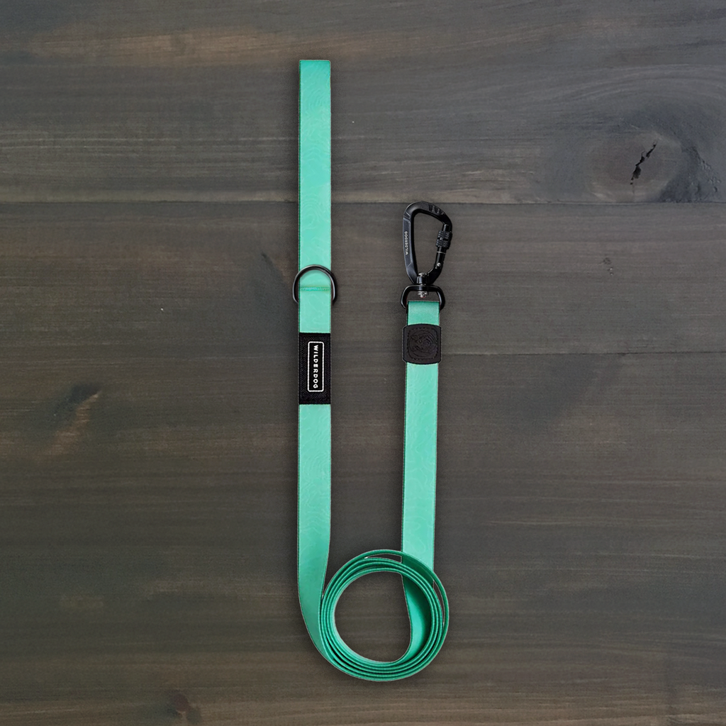 Waterproof Dog Leash product image 1