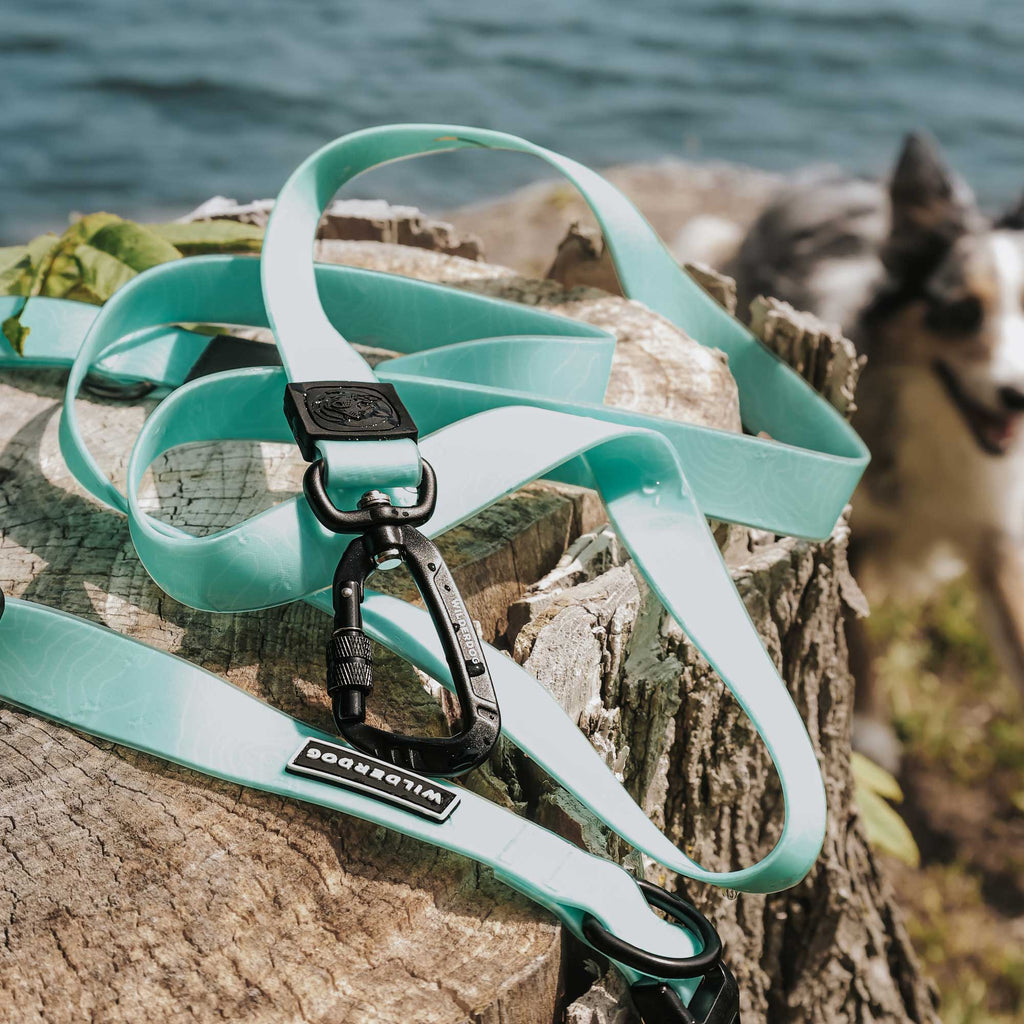 Waterproof Dog Leash product image 2