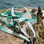 Waterproof Dog Leash product image 2