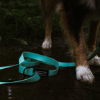 Waterproof Dog Leash product image 4