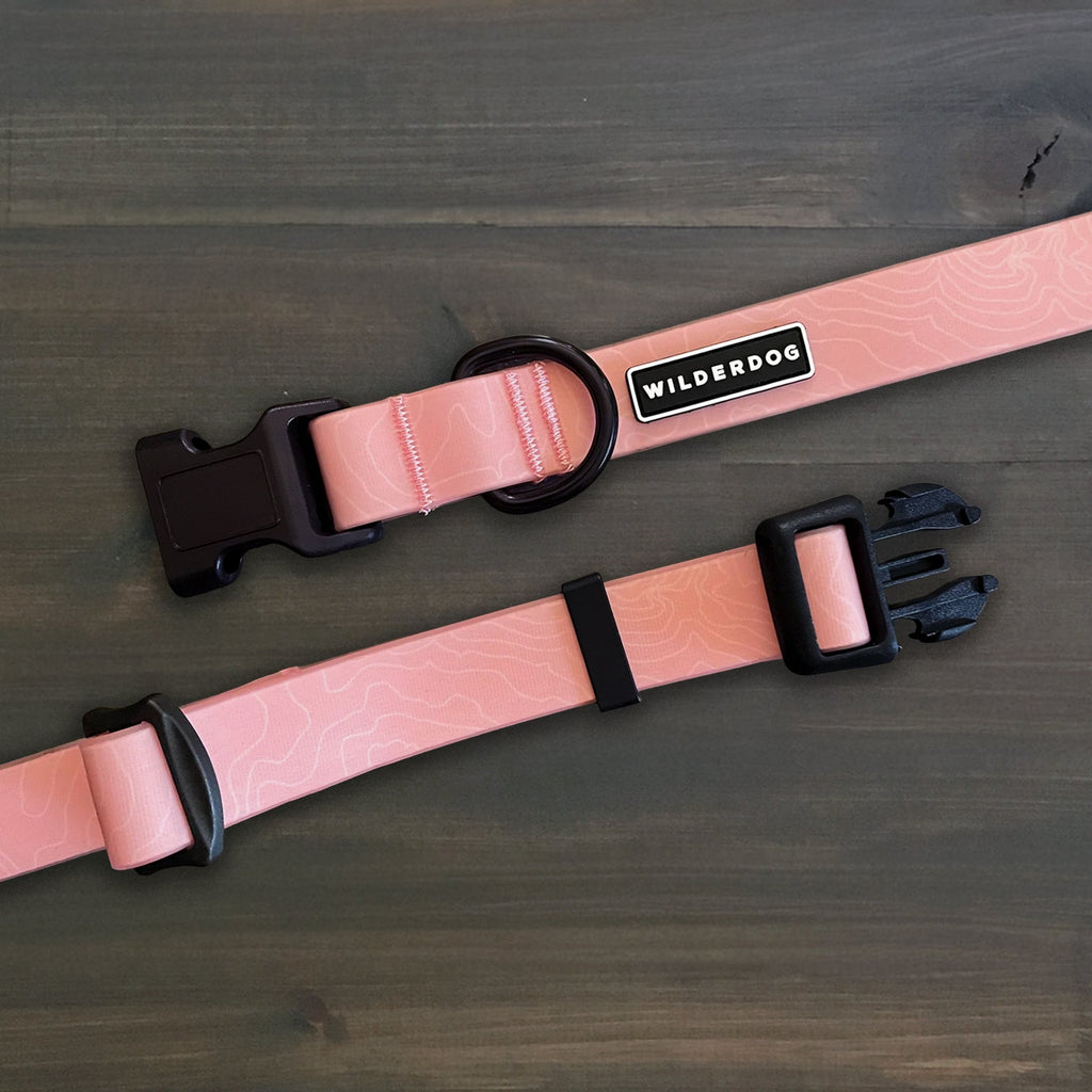 Waterproof Dog Collar product image 1