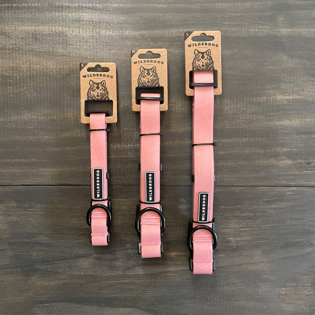 Waterproof Dog Collar product image 3