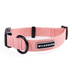 Waterproof Dog Collar product image 7