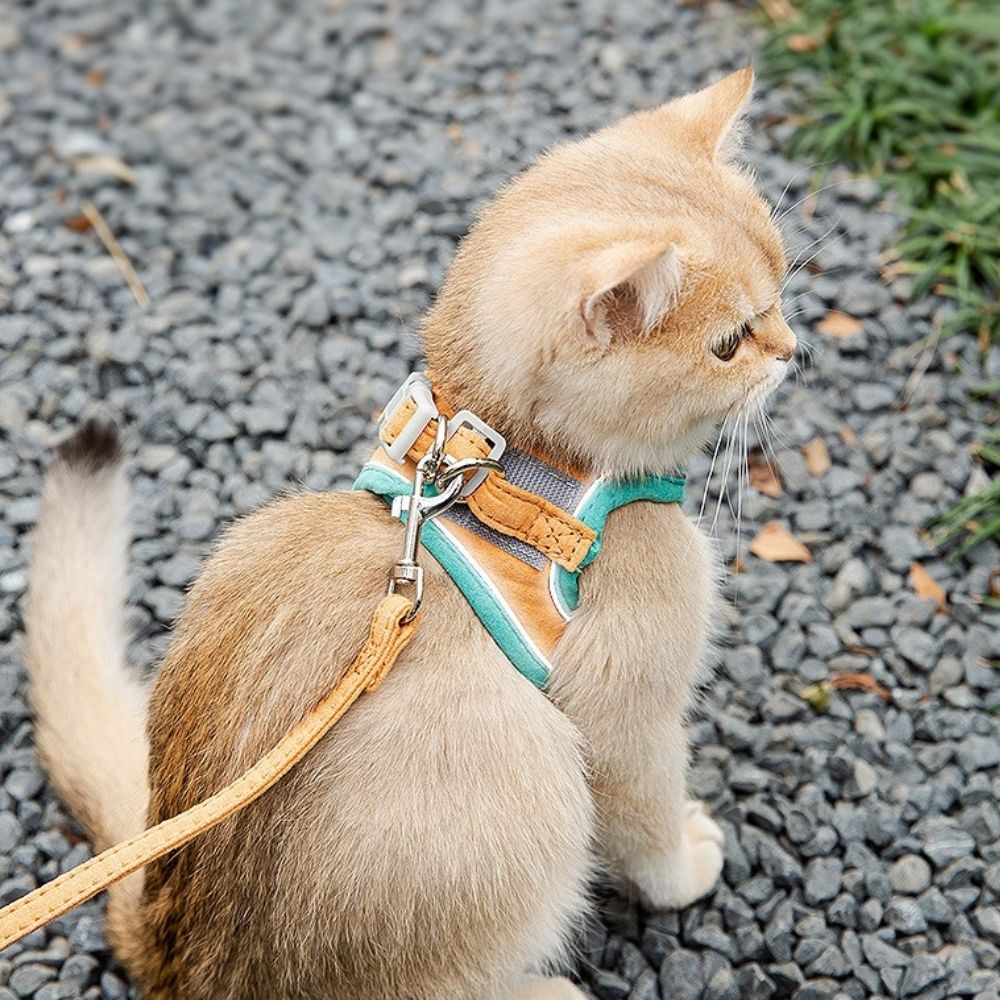 Cat Harness Set product image 2