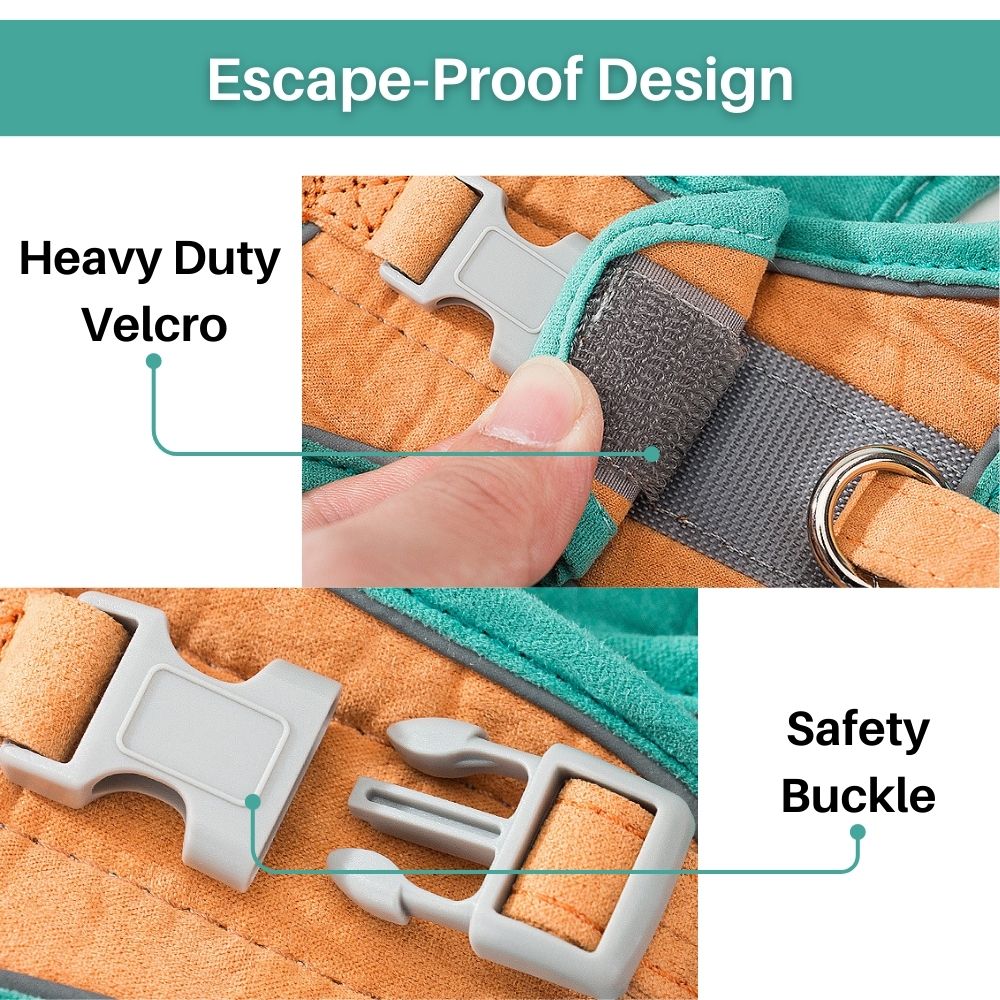 Cat Harness Set product image 3