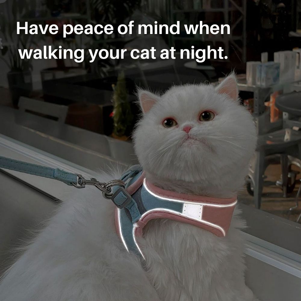 Cat Harness Set product image 6