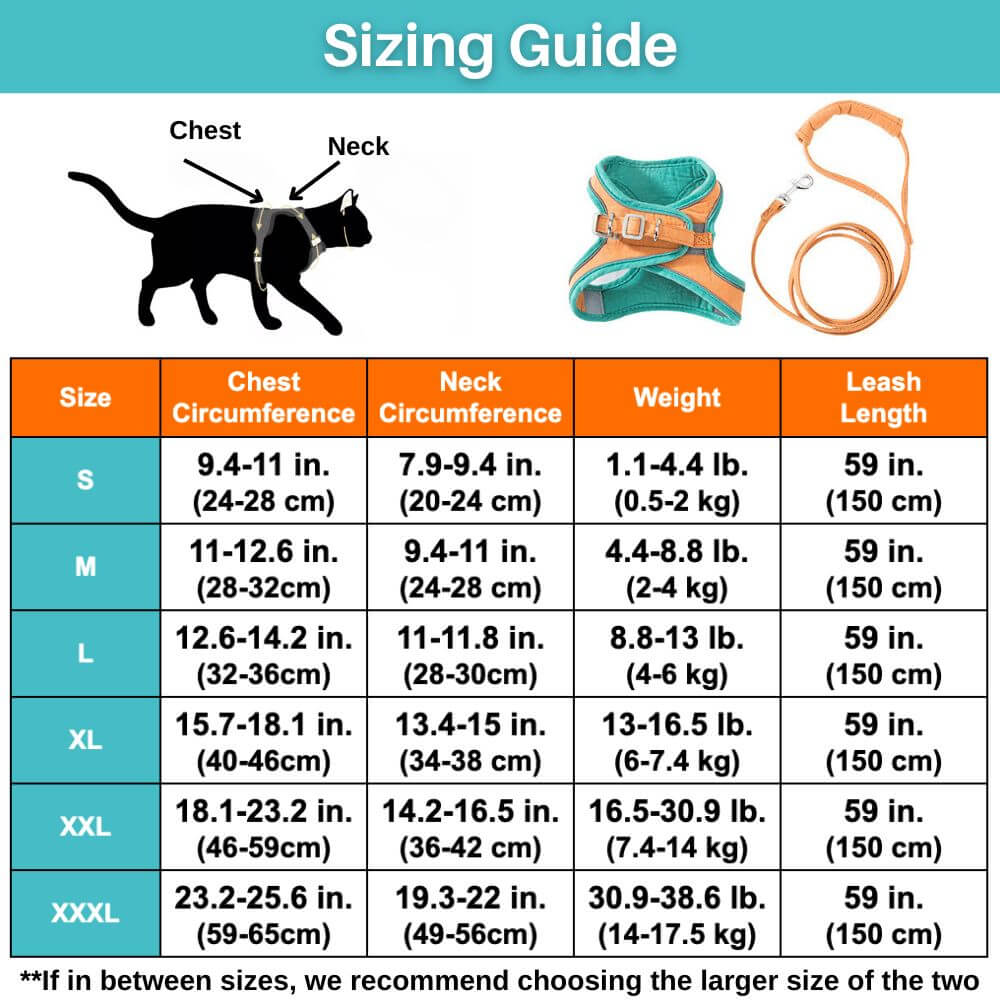 Cat Harness Set product image 8