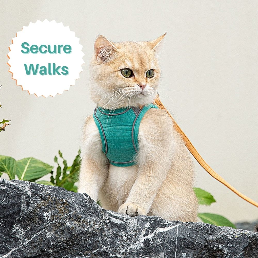 Cat Harness Set product image 10