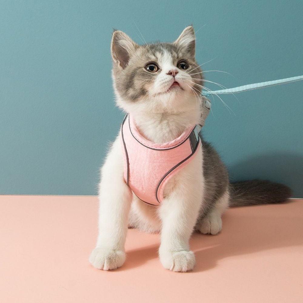 Cat Harness Set product image 13