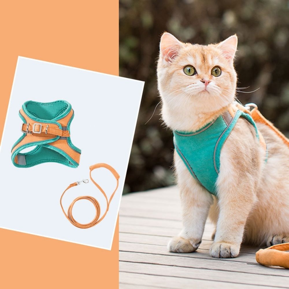 Cat Harness Set product image 16
