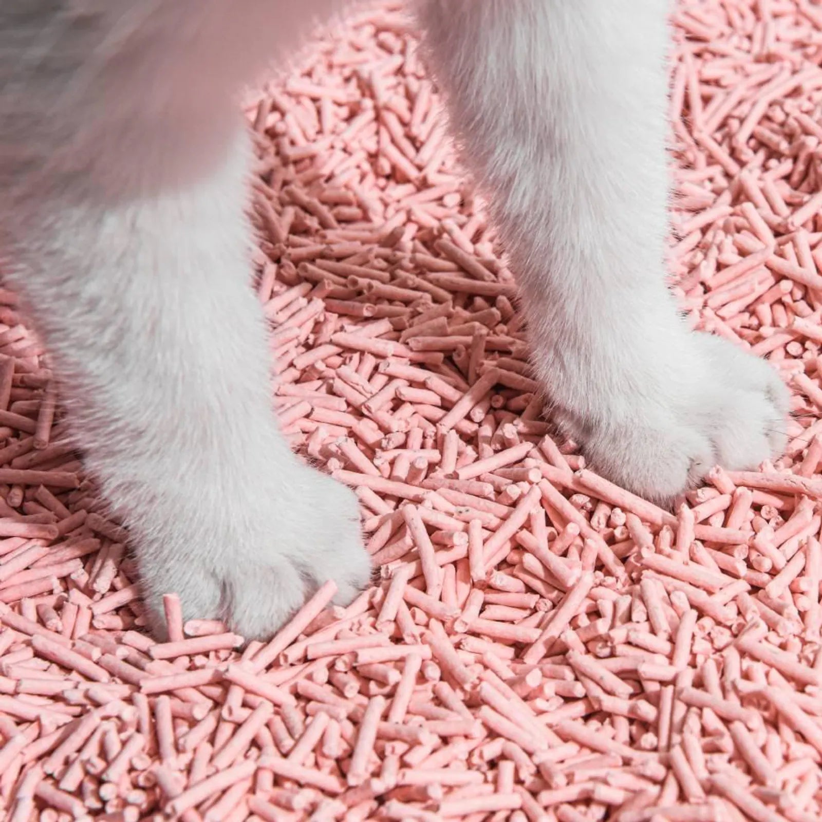 Michu Natural Clumping Tofu Cat Litter 5.5lb/88oz product image 7