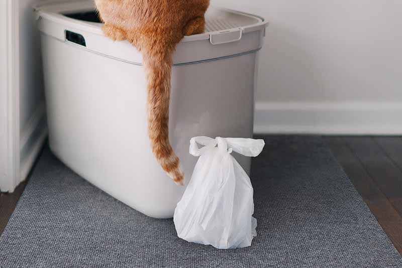 Cat Litter Waste Bags product image 4